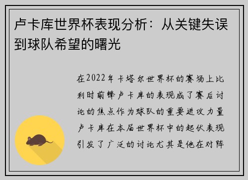 卢卡库世界杯表现分析：从关键失误到球队希望的曙光